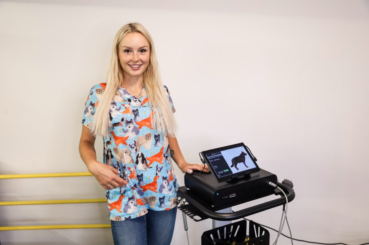 Terapia ENF w weterynarii – nowoczesne wsparcie rehabilitacji psów, kotów i koni w Gdańsku i okolicach