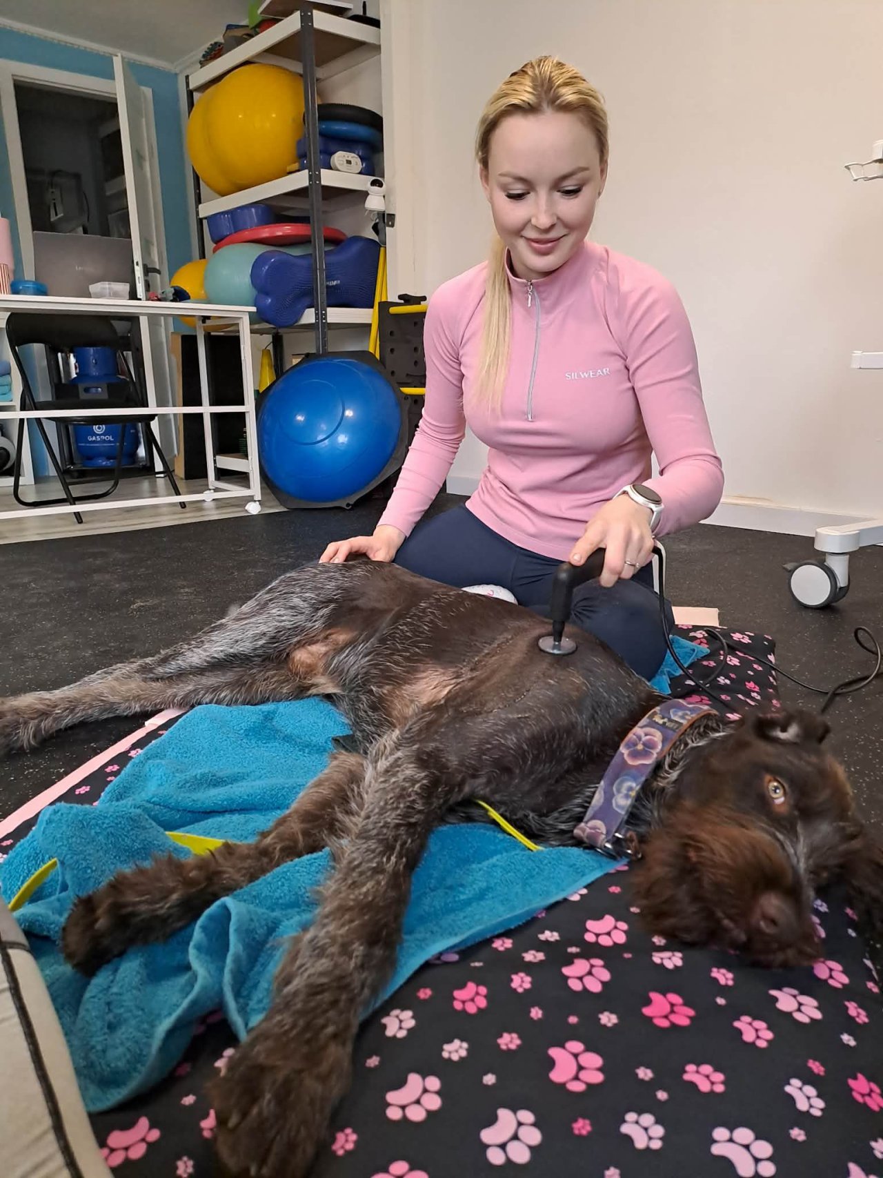 Terapia INDIBA - kiedy może pomóc Twojemu pupilowi?